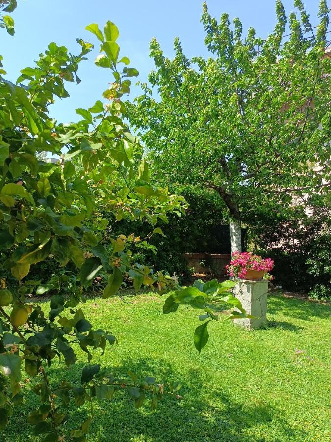 Il Giardino A Boccadasse Γένοβα Εξωτερικό φωτογραφία