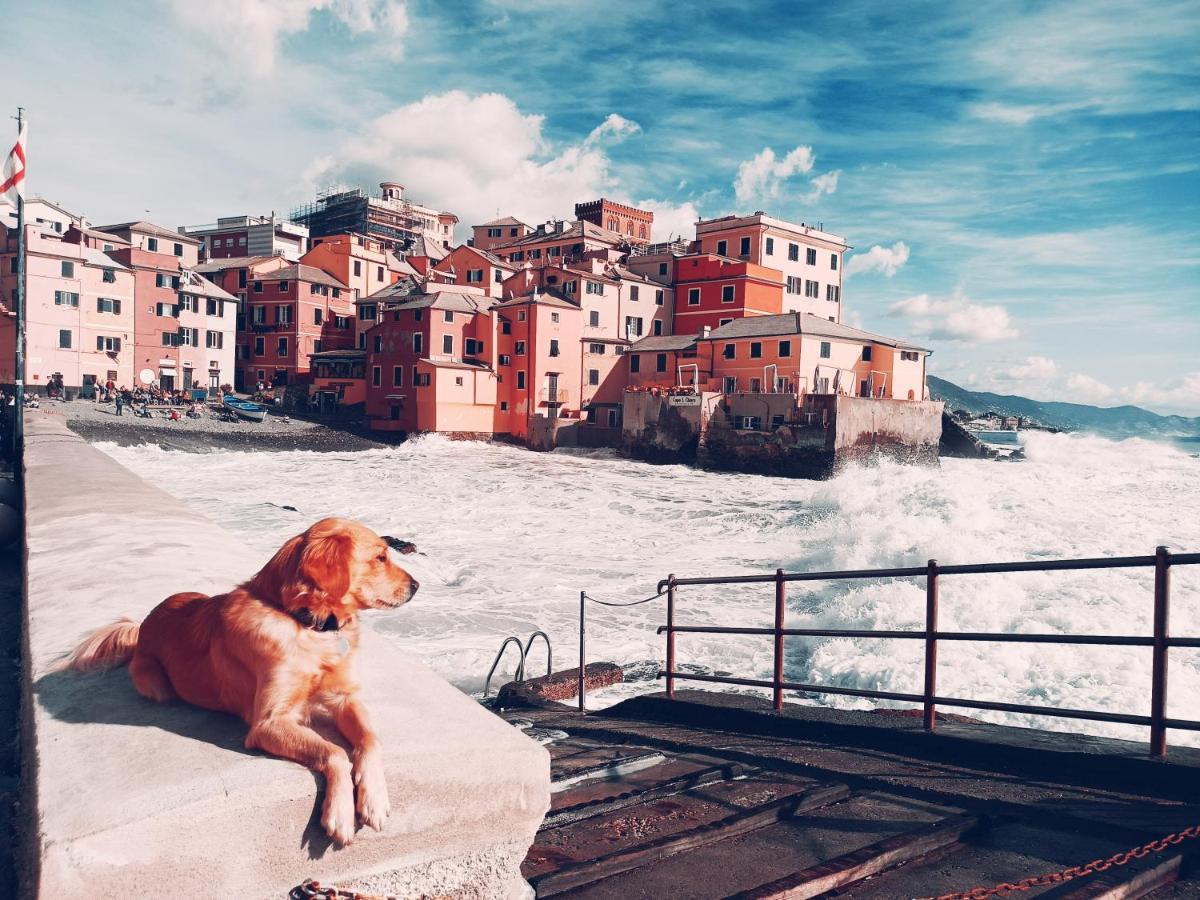 Il Giardino A Boccadasse Γένοβα Εξωτερικό φωτογραφία
